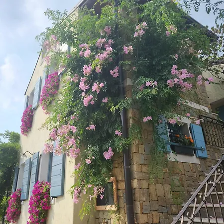 Apartma Nemo Izola Exterior photo