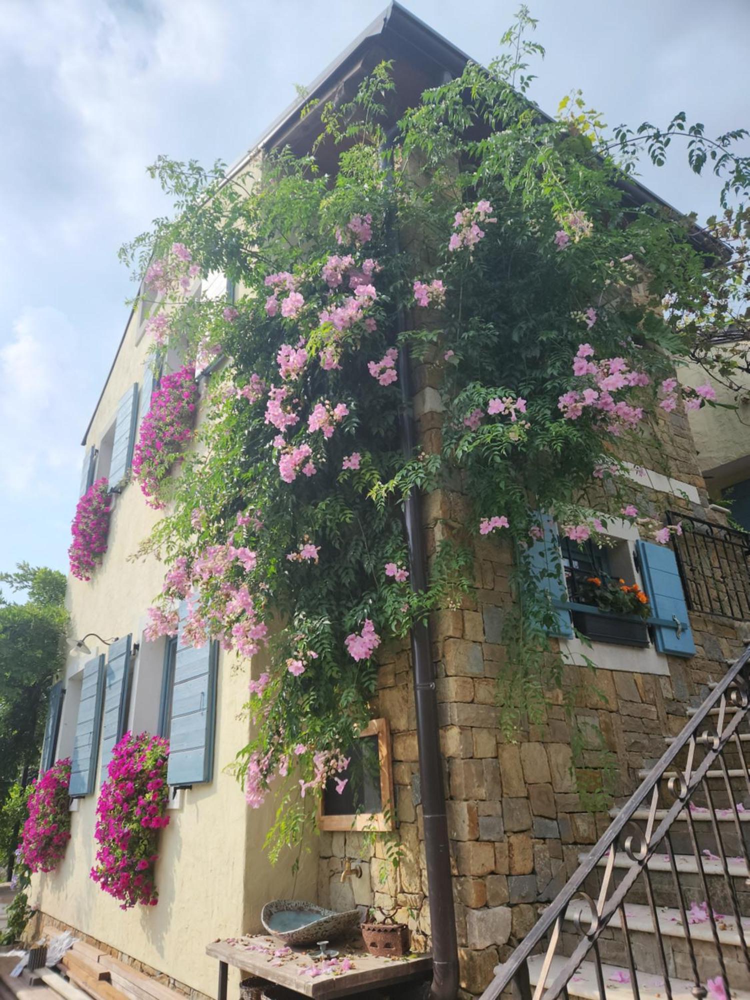 Apartma Nemo Apartment Izola