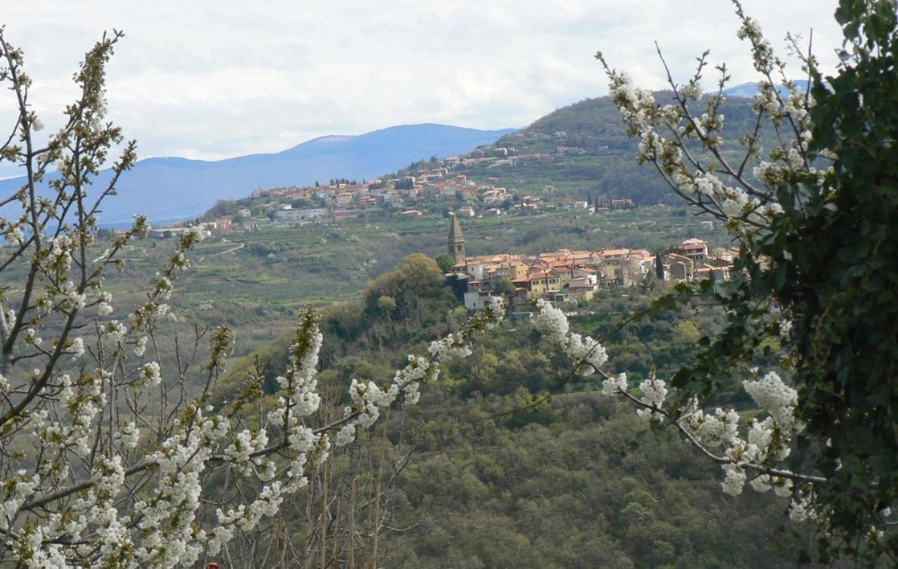 Apartma Nemo Appartement Izola