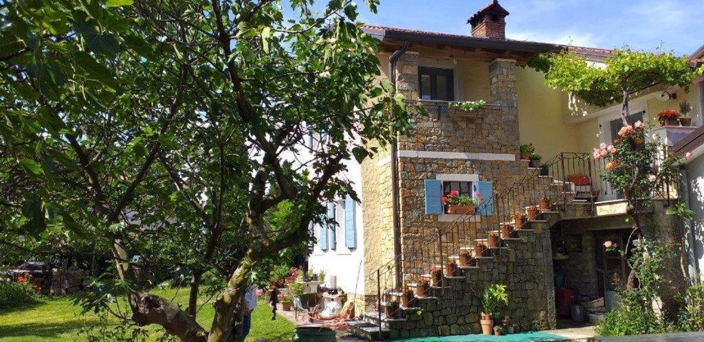 Apartma Nemo Appartement